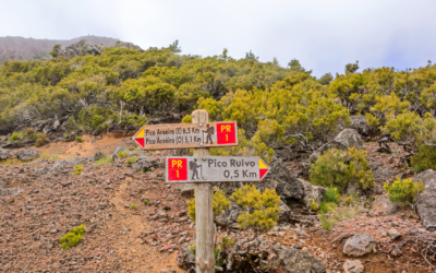 Trilhos Populares na Ilha do Pico